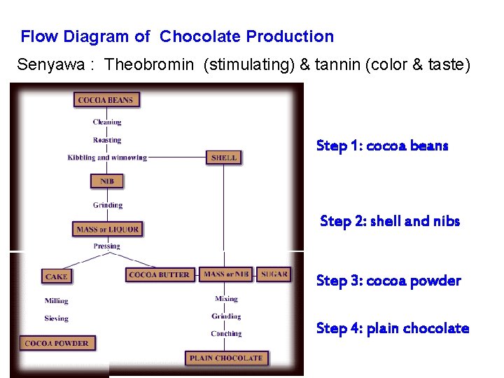Flow Diagram of Chocolate Production Senyawa : Theobromin (stimulating) & tannin (color & taste)