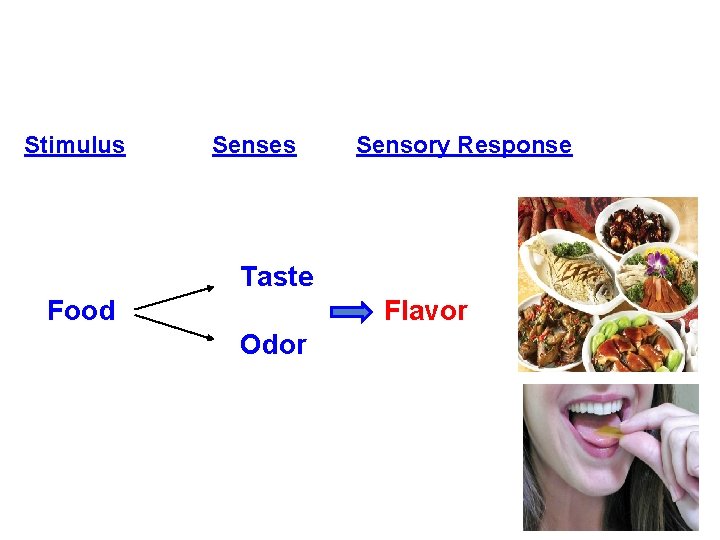 Stimulus Senses Sensory Response Taste Food Flavor Odor 