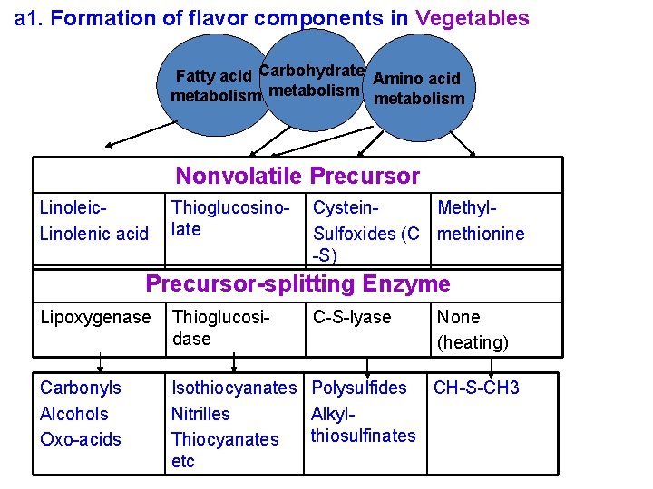 a 1. Formation of flavor components in Vegetables Fatty acid Carbohydrate Amino acid metabolism