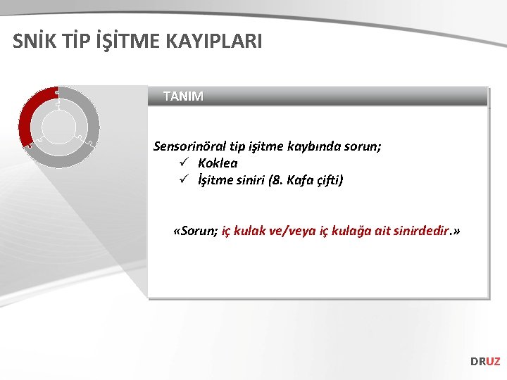 SNİK TİP İŞİTME KAYIPLARI TANIM Sensorinöral tip işitme kaybında sorun; ü Koklea ü İşitme