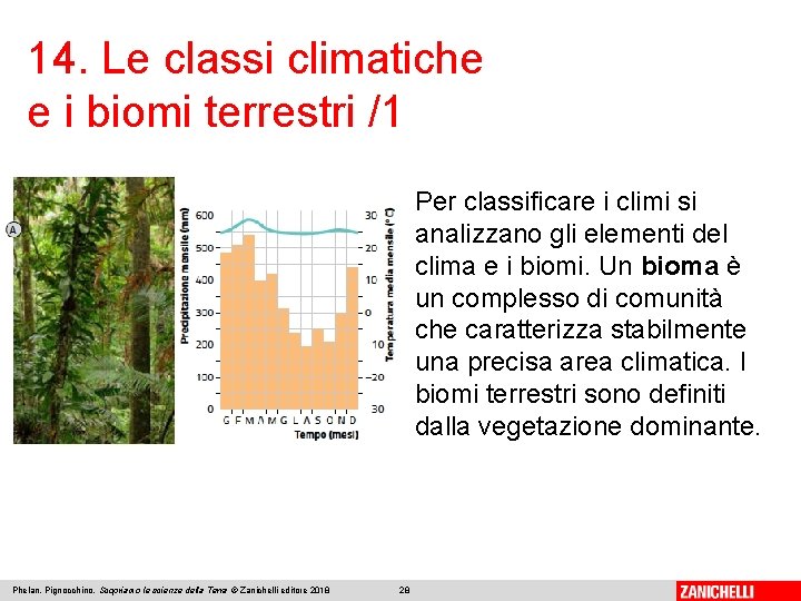 14. Le classi climatiche e i biomi terrestri /1 Per classificare i climi si 14. Le classi climatiche e i biomi terrestri /1 Per classificare i climi si