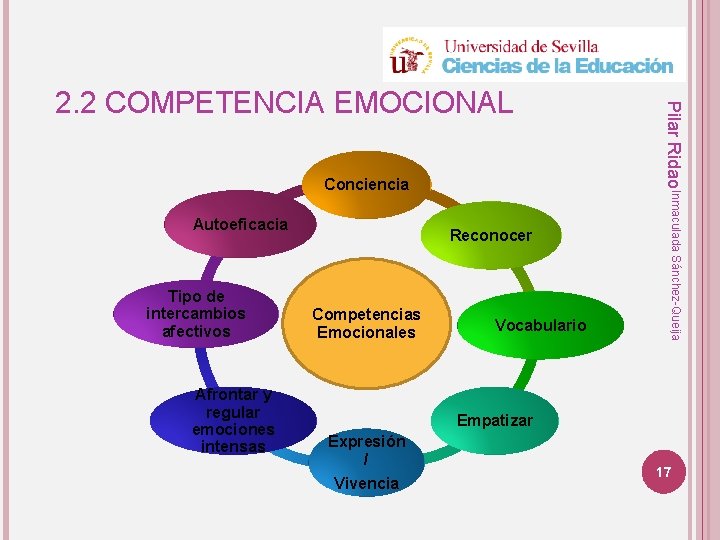 Conciencia Autoeficacia Tipo de intercambios afectivos Afrontar y regular emociones intensas Reconocer Competencias Emocionales