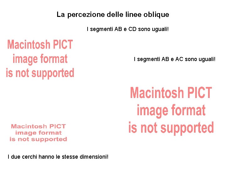 La percezione delle linee oblique I segmenti AB e CD sono uguali! I segmenti