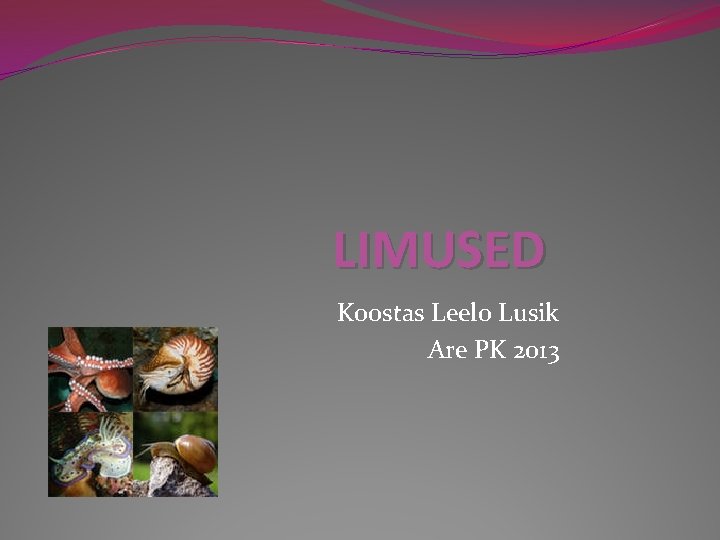 LIMUSED Koostas Leelo Lusik Are PK 2013 