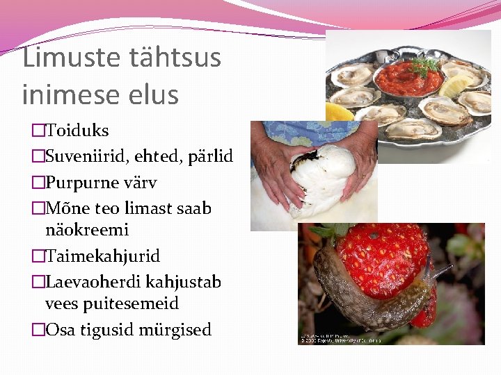 Limuste tähtsus inimese elus �Toiduks �Suveniirid, ehted, pärlid �Purpurne värv �Mõne teo limast saab