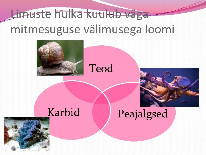 Limuste hulka kuulub väga mitmesuguse välimusega loomi Teod Karbid Peajalgsed 