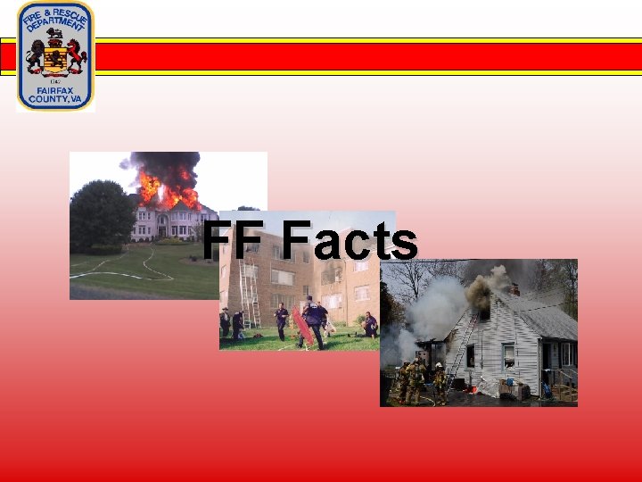 FF Facts 