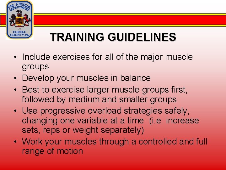 TRAINING GUIDELINES • Include exercises for all of the major muscle groups • Develop