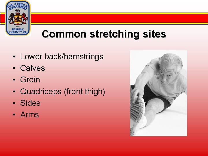 Common stretching sites • • • Lower back/hamstrings Calves Groin Quadriceps (front thigh) Sides