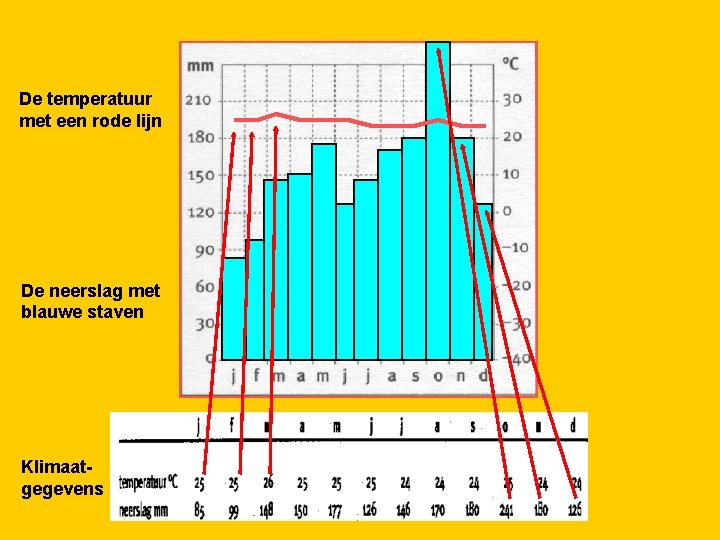 De temperatuur met een rode lijn De neerslag met blauwe staven Klimaatgegevens 