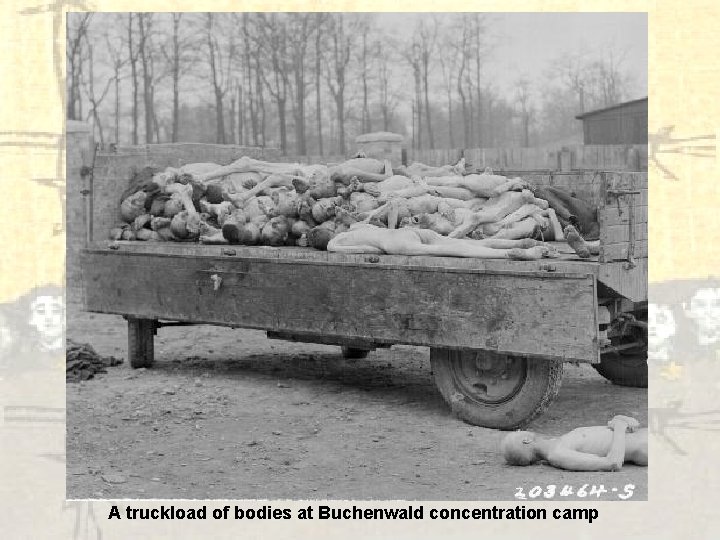 A truckload of bodies at Buchenwald concentration camp 