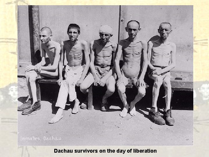 Dachau survivors on the day of liberation 