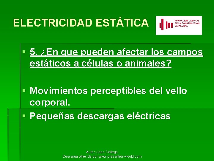 ELECTRICIDAD ESTÁTICA § 5. ¿En que pueden afectar los campos estáticos a células o