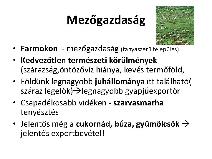 Mezőgazdaság • Farmokon - mezőgazdaság (tanyaszerű település) • Kedvezőtlen természeti körülmények (szárazság, öntözővíz hiánya,