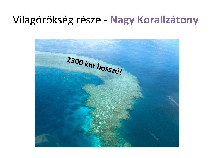 Világörökség része - Nagy Korallzátony 2300 k m hos szú! 