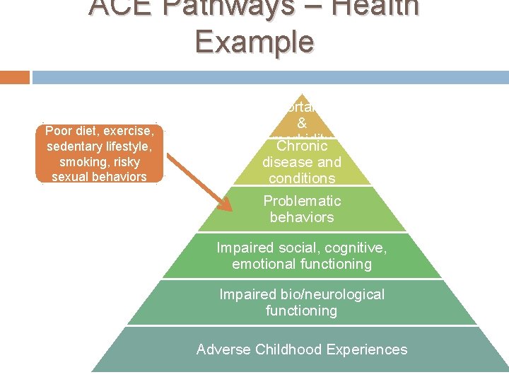 ACE Pathways – Health Example Poor diet, exercise, sedentary lifestyle, smoking, risky sexual behaviors