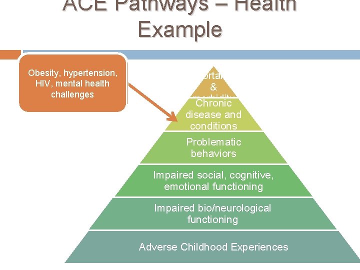 ACE Pathways – Health Example Obesity, hypertension, HIV, mental health challenges Increased mortality &