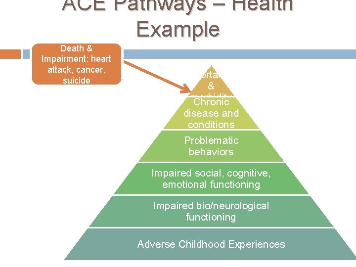 ACE Pathways – Health Example Death & Impairment: heart attack, cancer, suicide Increased mortality