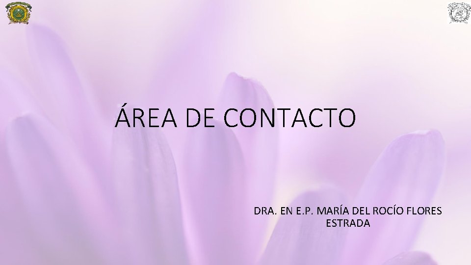 ÁREA DE CONTACTO DRA. EN E. P. MARÍA DEL ROCÍO FLORES ESTRADA 