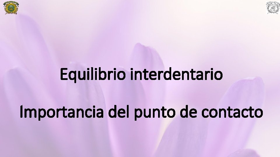 Equilibrio interdentario Importancia del punto de contacto 