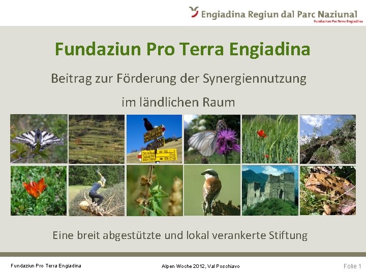 Fundaziun Pro Terra Engiadina Beitrag zur Förderung der Synergiennutzung im ländlichen Raum Eine breit