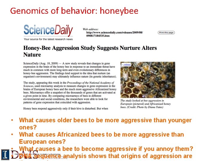 Genomics of behavior: honeybee • What causes older bees to be more aggressive than