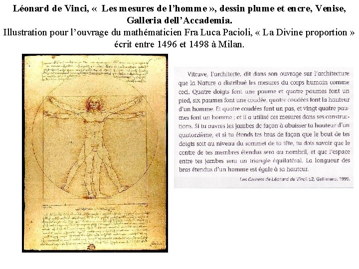 Léonard de Vinci, « Les mesures de l’homme » , dessin plume et encre,