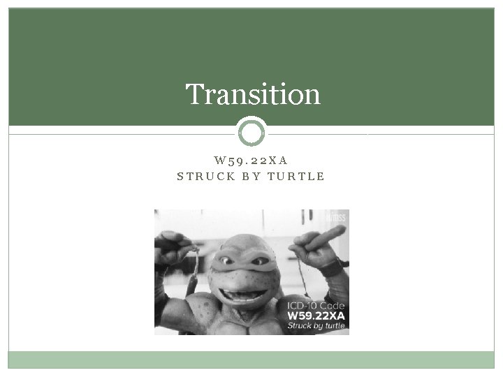 Transition W 59. 22 XA STRUCK BY TURTLE Transition W 59. 22 XA STRUCK BY TURTLE