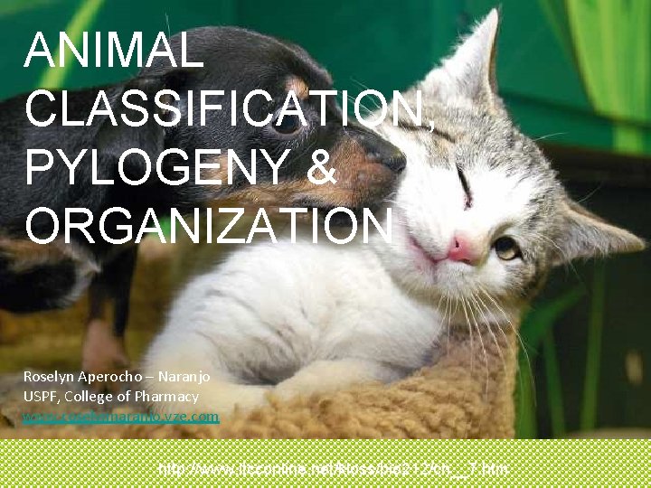 ANIMAL CLASSIFICATION, PYLOGENY & ORGANIZATION Roselyn Aperocho – Naranjo USPF, College of Pharmacy www.