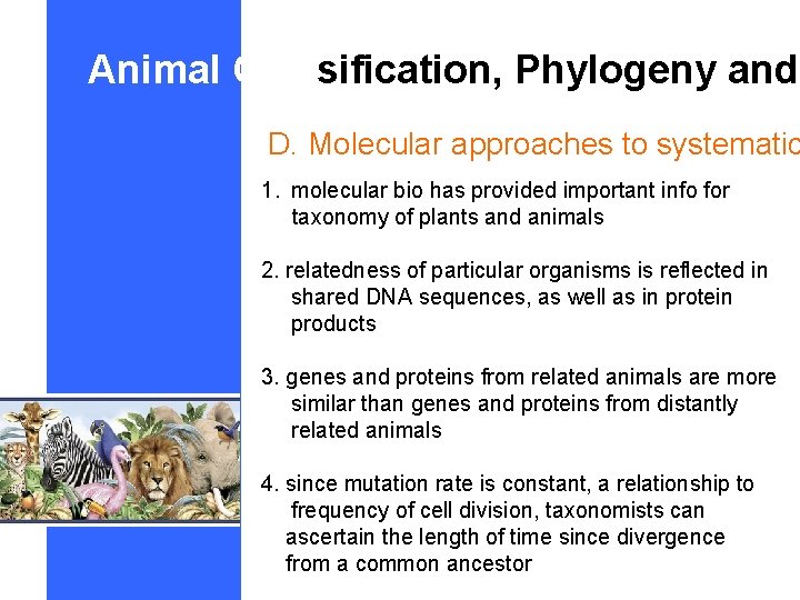 Animal Classification, Phylogeny and D. Molecular approaches to systematic 1. molecular bio has provided