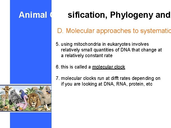 Animal Classification, Phylogeny and D. Molecular approaches to systematic 5. using mitochondria in eukaryotes