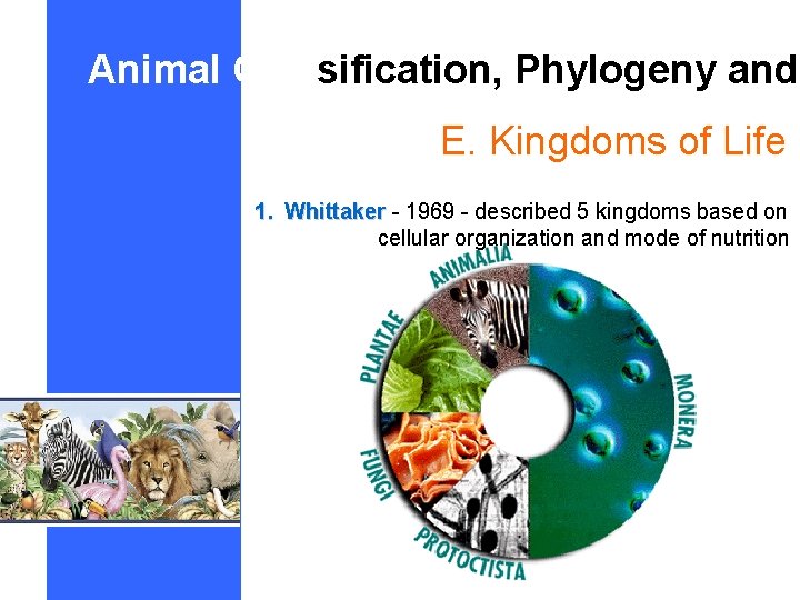 Animal Classification, Phylogeny and E. Kingdoms of Life 1. Whittaker - 1969 - described