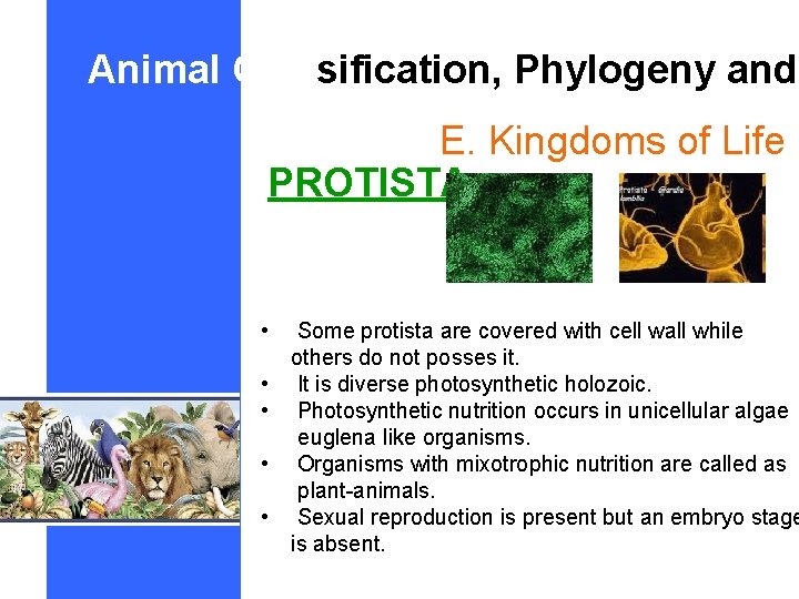 Animal Classification, Phylogeny and E. Kingdoms of Life PROTISTA • Some protista are covered