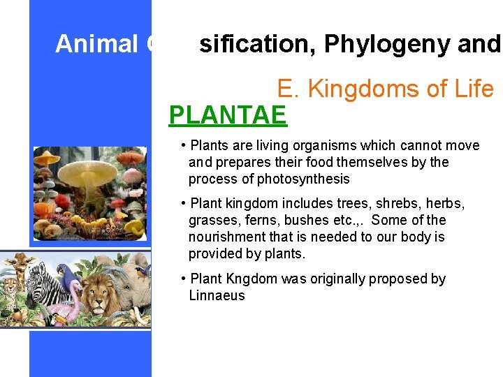 Animal Classification, Phylogeny and E. Kingdoms of Life PLANTAE • Plants are living organisms