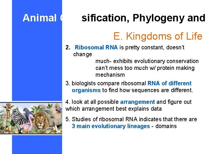 Animal Classification, Phylogeny and E. Kingdoms of Life 2. Ribosomal RNA is pretty constant,