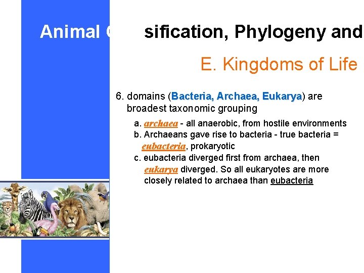 Animal Classification, Phylogeny and E. Kingdoms of Life 6. domains (Bacteria, Archaea, Eukarya) are