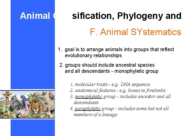 Animal Classification, Phylogeny and F. Animal SYstematics 1. goal is to arrange animals into