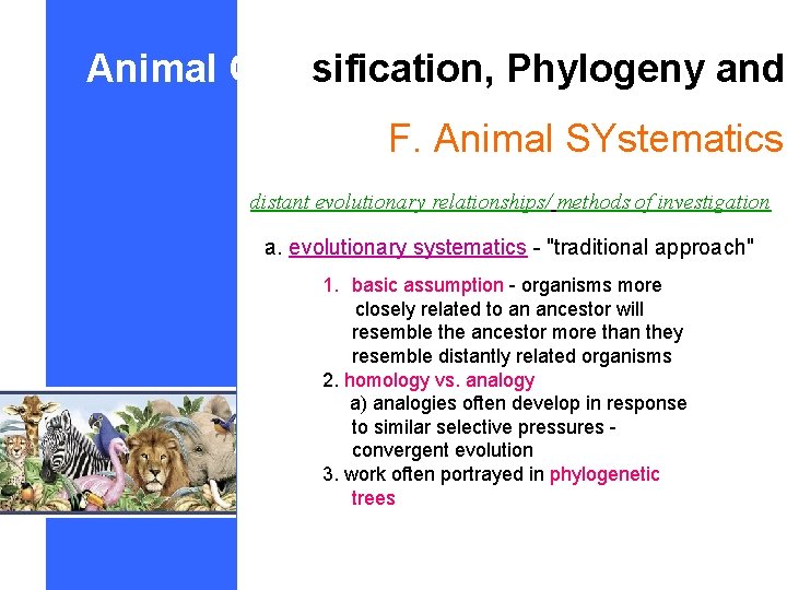 Animal Classification, Phylogeny and F. Animal SYstematics distant evolutionary relationships/ methods of investigation a.