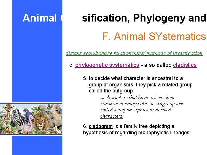 Animal Classification, Phylogeny and F. Animal SYstematics distant evolutionary relationships/ methods of investigation c.