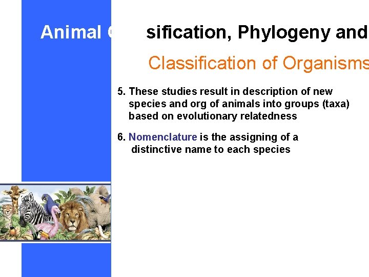 Animal Classification, Phylogeny and Classification of Organisms 5. These studies result in description of