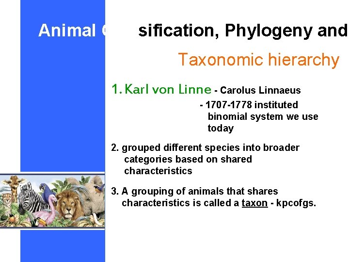 Animal Classification, Phylogeny and Taxonomic hierarchy 1. Karl von Linne - Carolus Linnaeus -