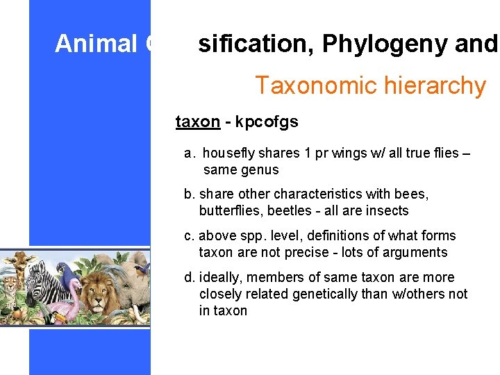 Animal Classification, Phylogeny and Taxonomic hierarchy taxon - kpcofgs a. housefly shares 1 pr