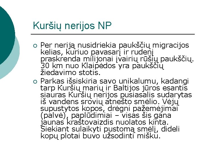 Kuršių nerijos NP ¡ ¡ Per neriją nusidriekia paukščių migracijos kelias, kuriuo pavasarį ir