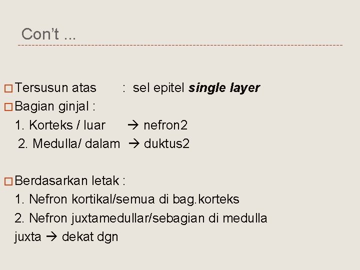 Con’t. . . � Tersusun atas : sel epitel single layer � Bagian ginjal