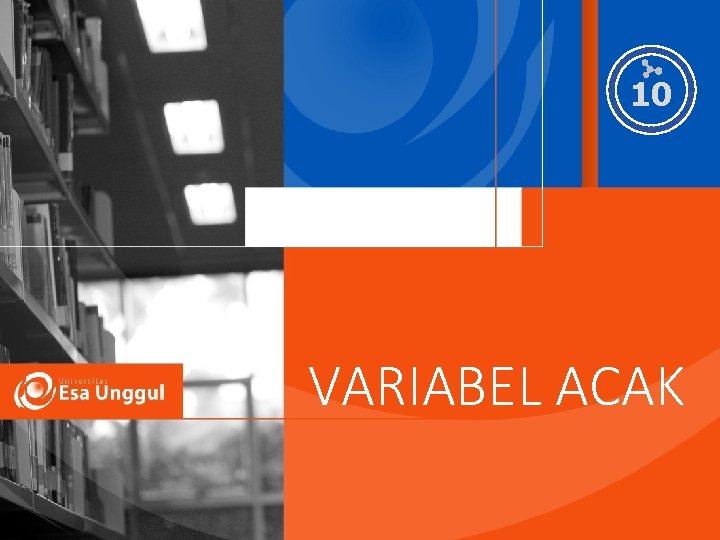 10 VARIABEL ACAK 