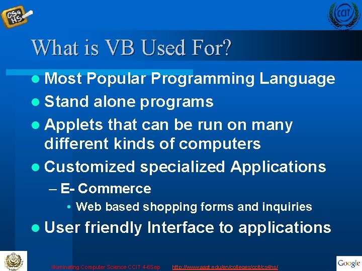 What is VB Used For? l Most Popular Programming Language l Stand alone programs