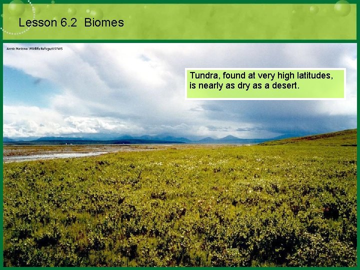 Lesson 6. 2 Biomes Tundra, found at very high latitudes, is nearly as dry