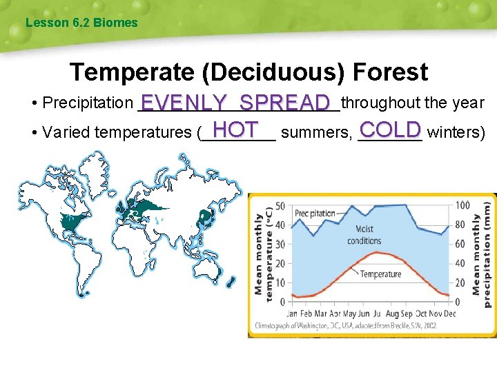 Lesson 6. 2 Biomes Temperate (Deciduous) Forest • Precipitation ___________throughout the year EVENLY SPREAD