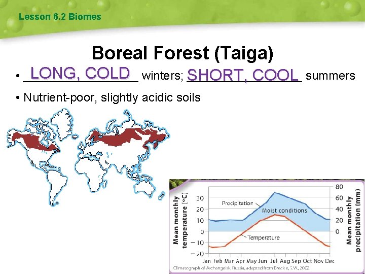 Lesson 6. 2 Biomes Boreal Forest (Taiga) LONG, COLD winters; SHORT, • _________________ COOL