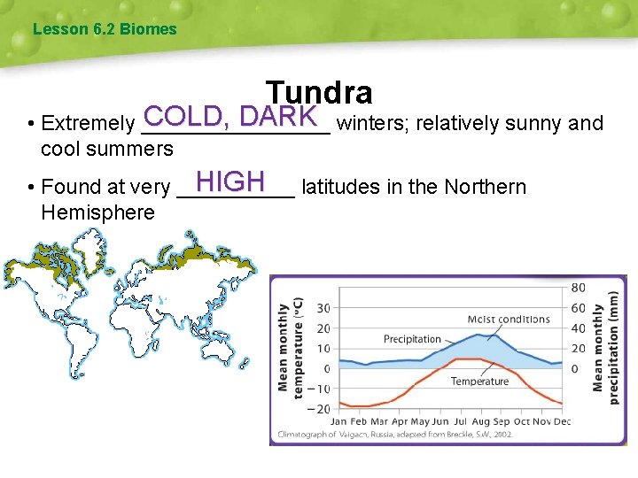 Lesson 6. 2 Biomes Tundra COLD, DARK winters; relatively sunny and • Extremely ________